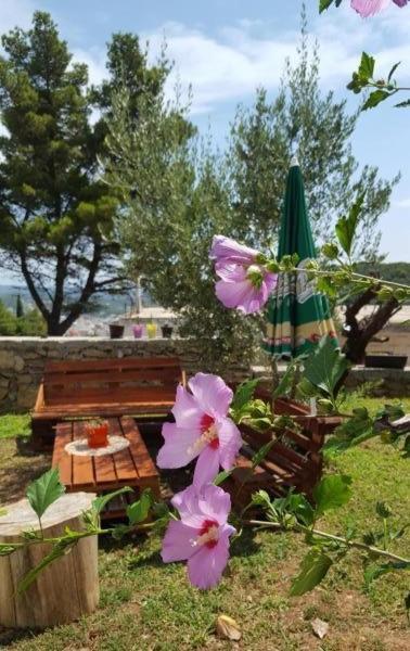 Apartments Radulovic Ulcinj Exterior foto